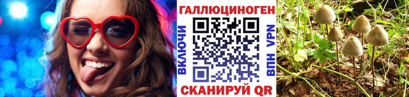 mega маркетплейс  Гудермес  Галлюциногенные грибы Magic Shrooms 
