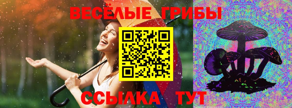 Гудермес  наркотики  Вход с VPN  Галлюциногенные грибы ЛСД 