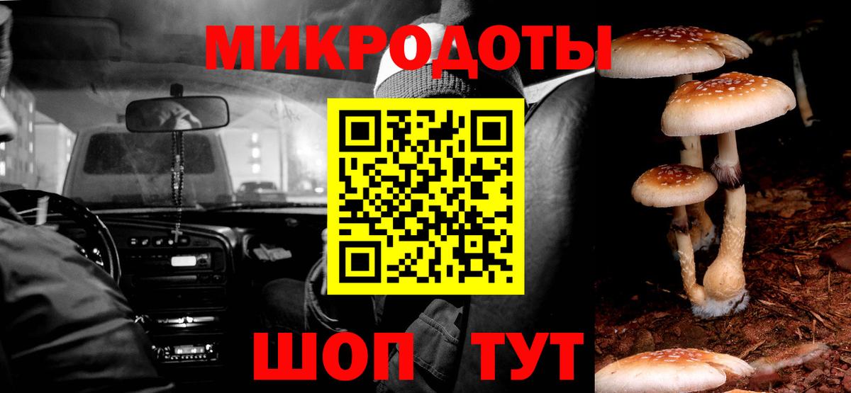 Галлюциногенные грибы ЛСД Гудермес