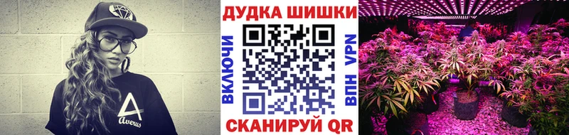 Марихуана SATIVA & INDICA  дарнет шоп  Гудермес 